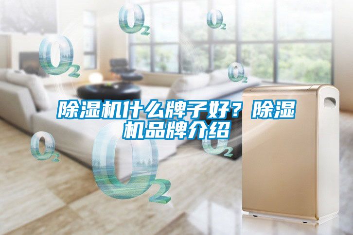 除濕機什么牌子好？除濕機品牌介紹