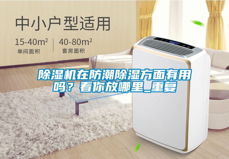 除濕機在防潮除濕方面有用嗎？看你放哪里_重復(fù)