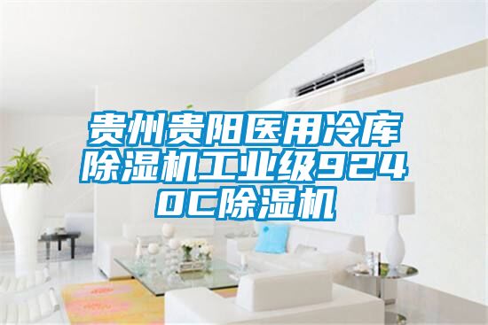 貴州貴陽醫(yī)用冷庫除濕機(jī)工業(yè)級9240C除濕機(jī)