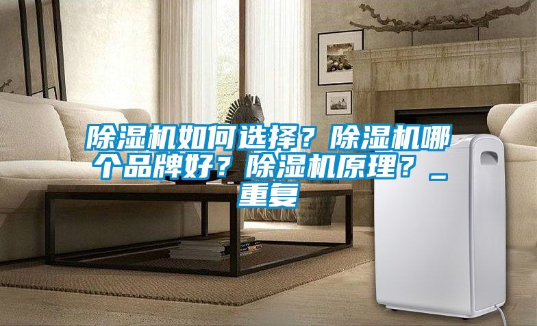 除濕機如何選擇？除濕機哪個品牌好？除濕機原理？_重復
