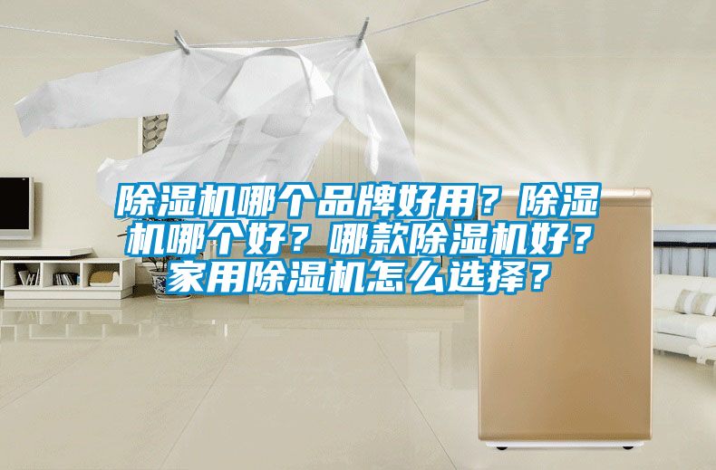 除濕機哪個品牌好用？除濕機哪個好？哪款除濕機好？家用除濕機怎么選擇？