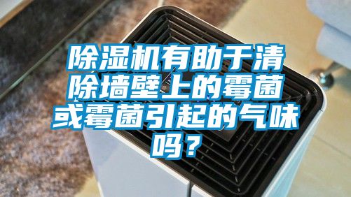 除濕機有助于清除墻壁上的霉菌或霉菌引起的氣味嗎？