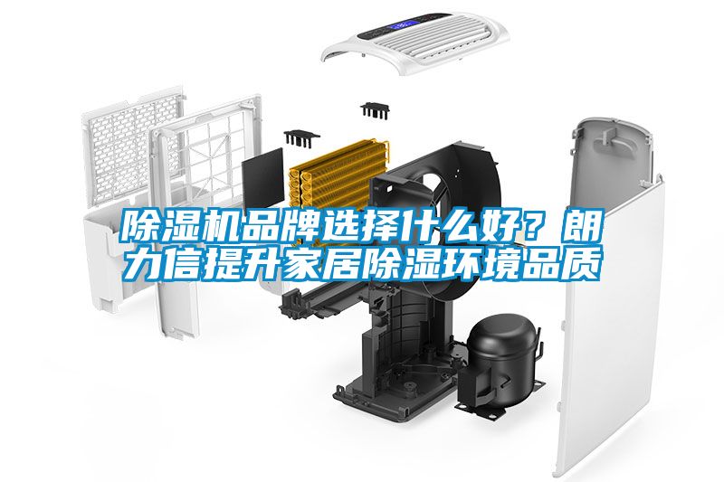 除濕機品牌選擇什么好？朗力信提升家居除濕環(huán)境品質