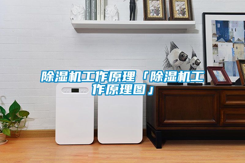 除濕機工作原理「除濕機工作原理圖」