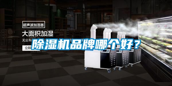 除濕機品牌哪個好？