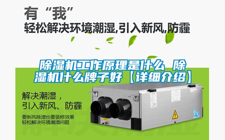 除濕機(jī)工作原理是什么 除濕機(jī)什么牌子好【詳細(xì)介紹】