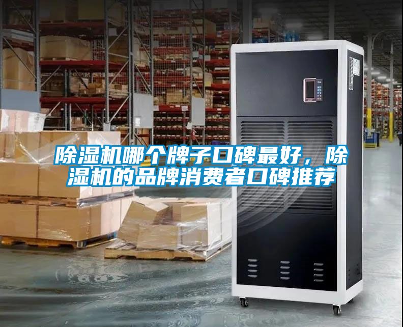 除濕機哪個牌子口碑最好,除濕機的品牌消費者口碑推薦