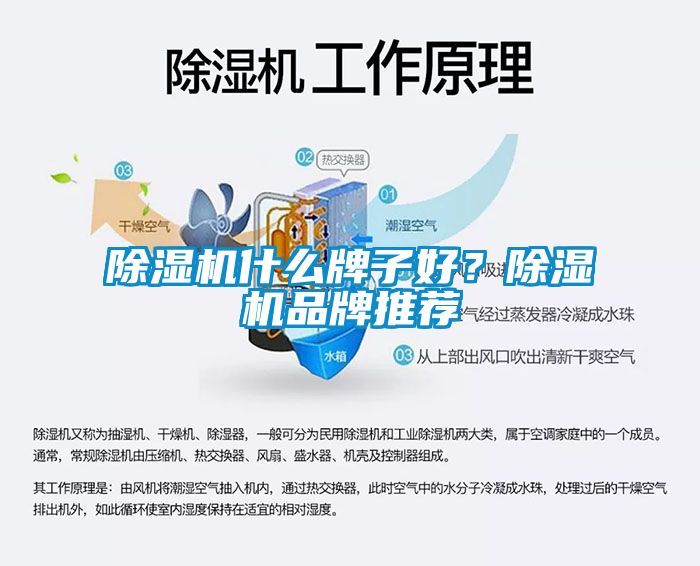 除濕機(jī)什么牌子好？除濕機(jī)品牌推薦