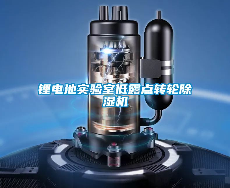 鋰電池實驗室低露點轉(zhuǎn)輪除濕機(jī)