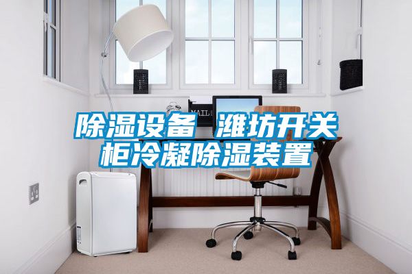 除濕設備 濰坊開關柜冷凝除濕裝置