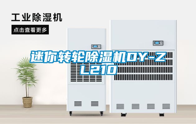迷你轉(zhuǎn)輪除濕機(jī)DY-ZL210