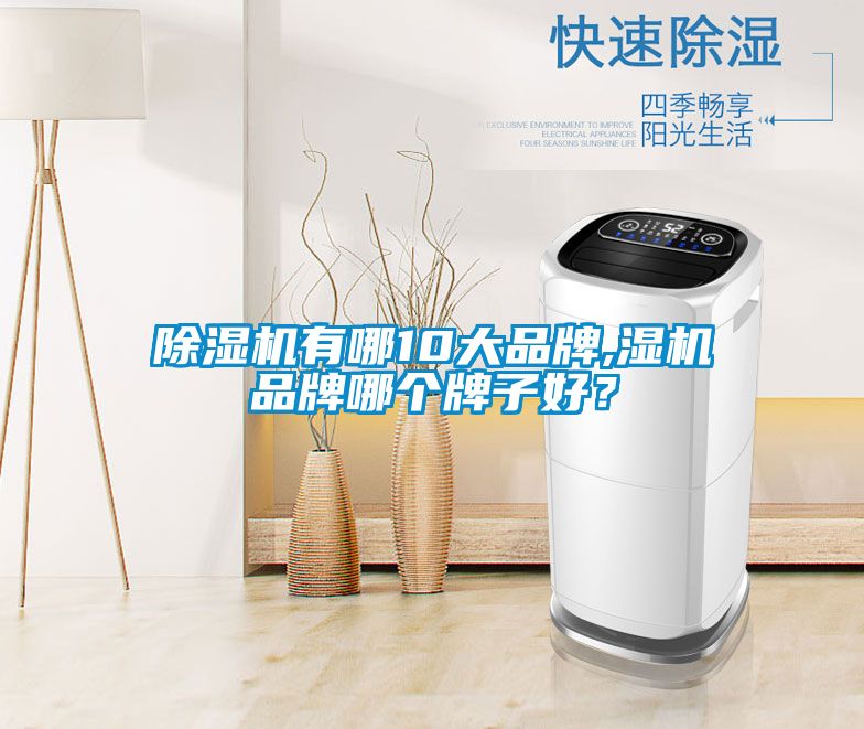 除濕機有哪10大品牌,濕機品牌哪個牌子好?