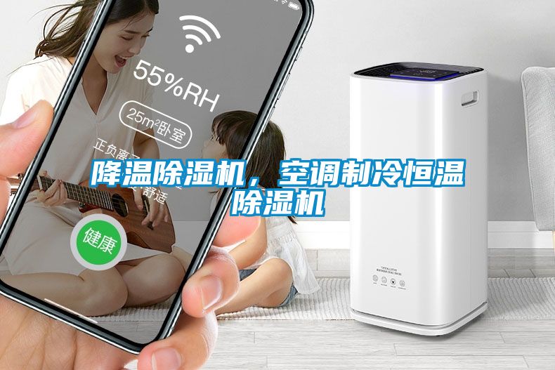 降溫除濕機，空調制冷恒溫除濕機