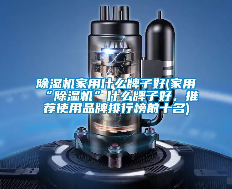 除濕機(jī)家用什么牌子好(家用“除濕機(jī)”什么牌子好，推薦使用品牌排行榜前十名)