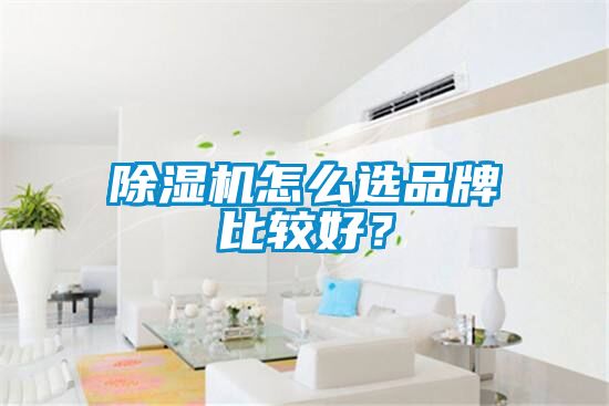 除濕機怎么選品牌比較好？
