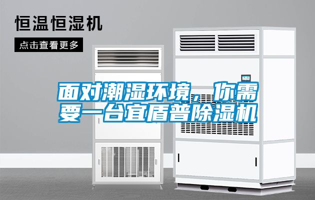 面對潮濕環境,你需要一臺宜盾普除濕機