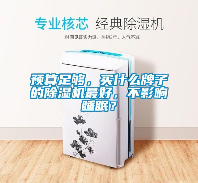 預算足夠，買什么牌子的除濕機最好，不影響睡眠？
