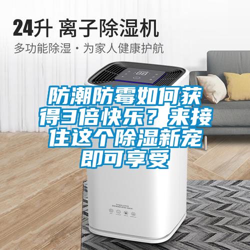 防潮防霉如何獲得3倍快樂？來接住這個除濕新寵即可享受