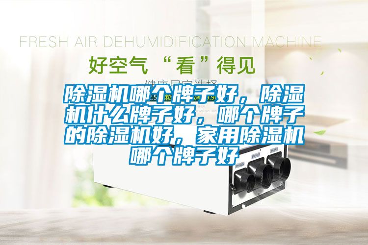除濕機哪個牌子好，除濕機什么牌子好，哪個牌子的除濕機好，家用除濕機哪個牌子好