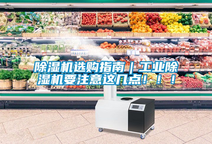 除濕機選購指南｜工業除濕機要注意這幾點！！！