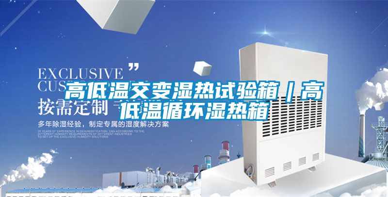 高低溫交變濕熱試驗箱︱高低溫循環濕熱箱