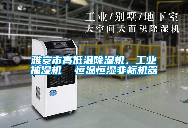 雅安市高低溫除濕機(jī)，工業(yè)抽濕機(jī)  恒溫恒濕非標(biāo)機(jī)器