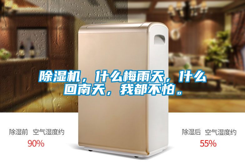 除濕機，什么梅雨天，什么回南天，我都不怕。