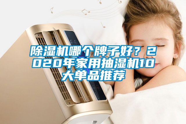 除濕機哪個牌子好？2020年家用抽濕機10大單品推薦