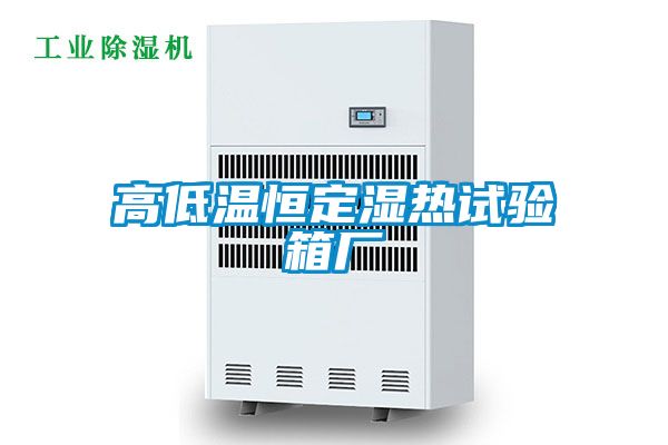 高低溫恒定濕熱試驗(yàn)箱廠