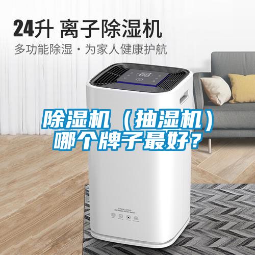 除濕機(jī)(抽濕機(jī))哪個(gè)牌子最好?