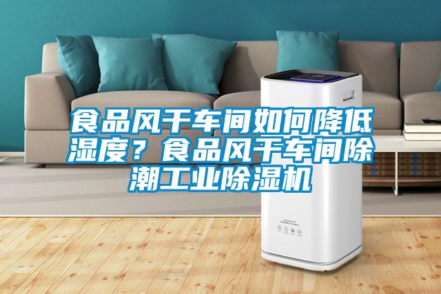 食品風干車間如何降低濕度？食品風干車間除潮工業(yè)除濕機