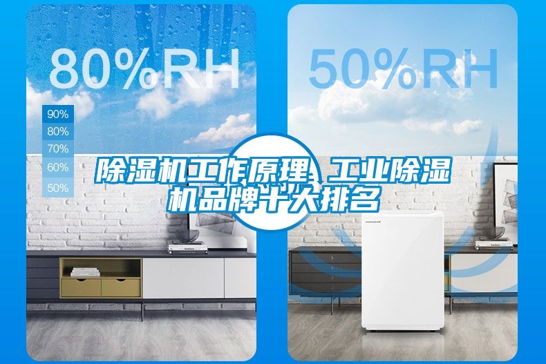 除濕機工作原理 工業除濕機品牌十大排名