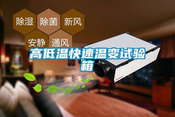 高低溫快速溫變?cè)囼?yàn)箱